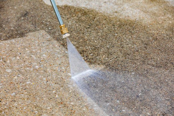 Animal Enclosure Cleaning in Columbus, TX