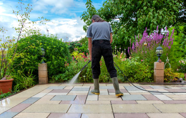 Best Animal Enclosure Cleaning  in Columbus, TX